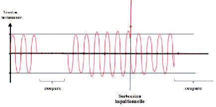 Figure 2 : Pic de tension.